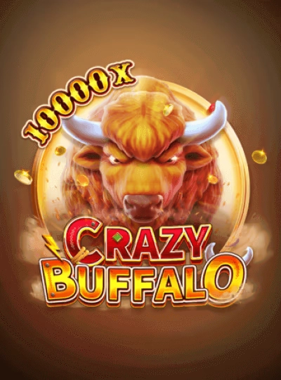 BPL cricket betting game cover